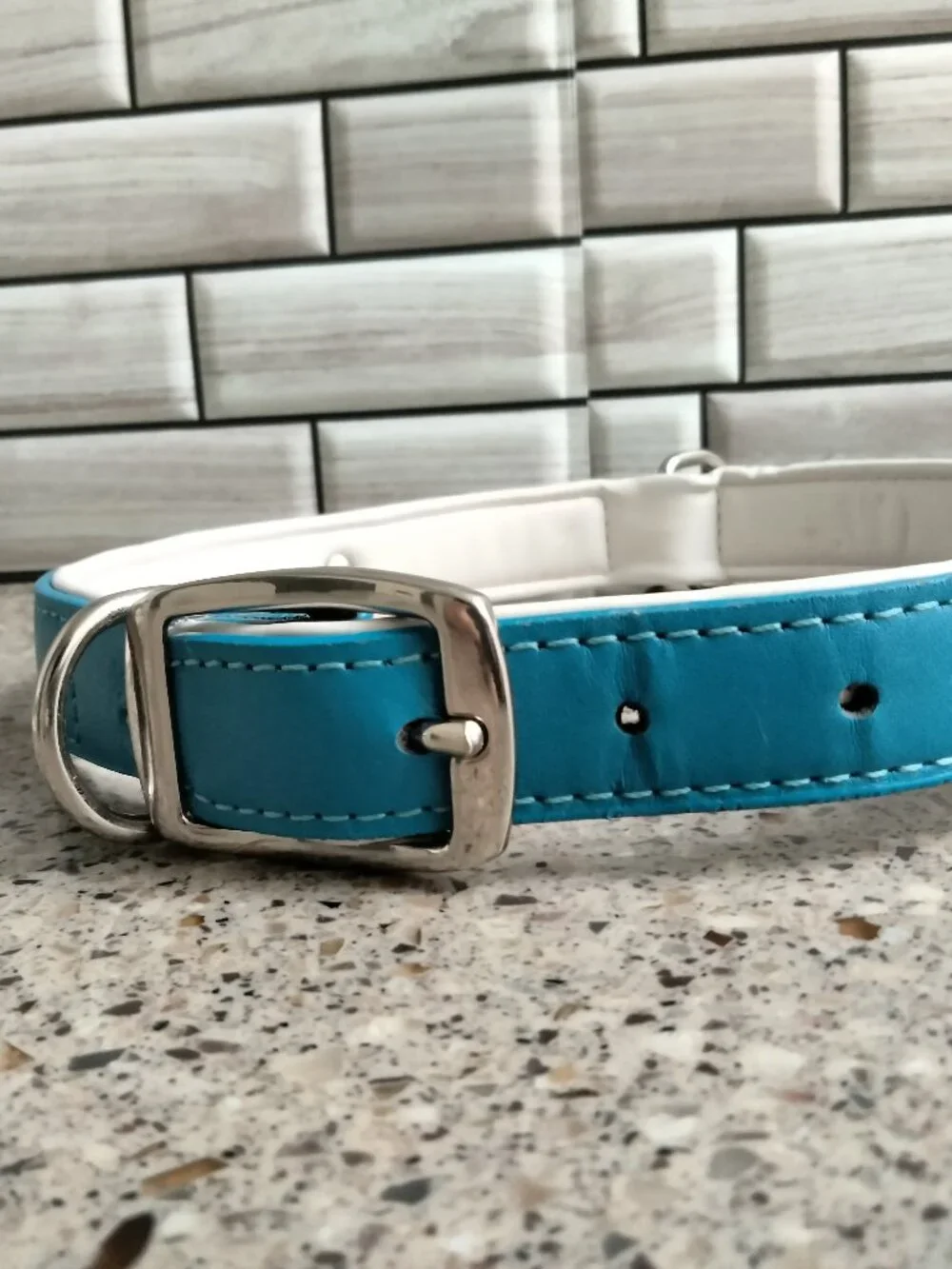 Blue White & Chrome Leather Dog Collar 24